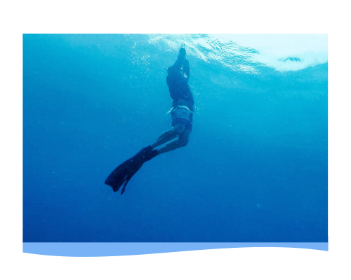 Kontiki Diving Resort Mactan Freediving Guide (Updated Rates 2026)